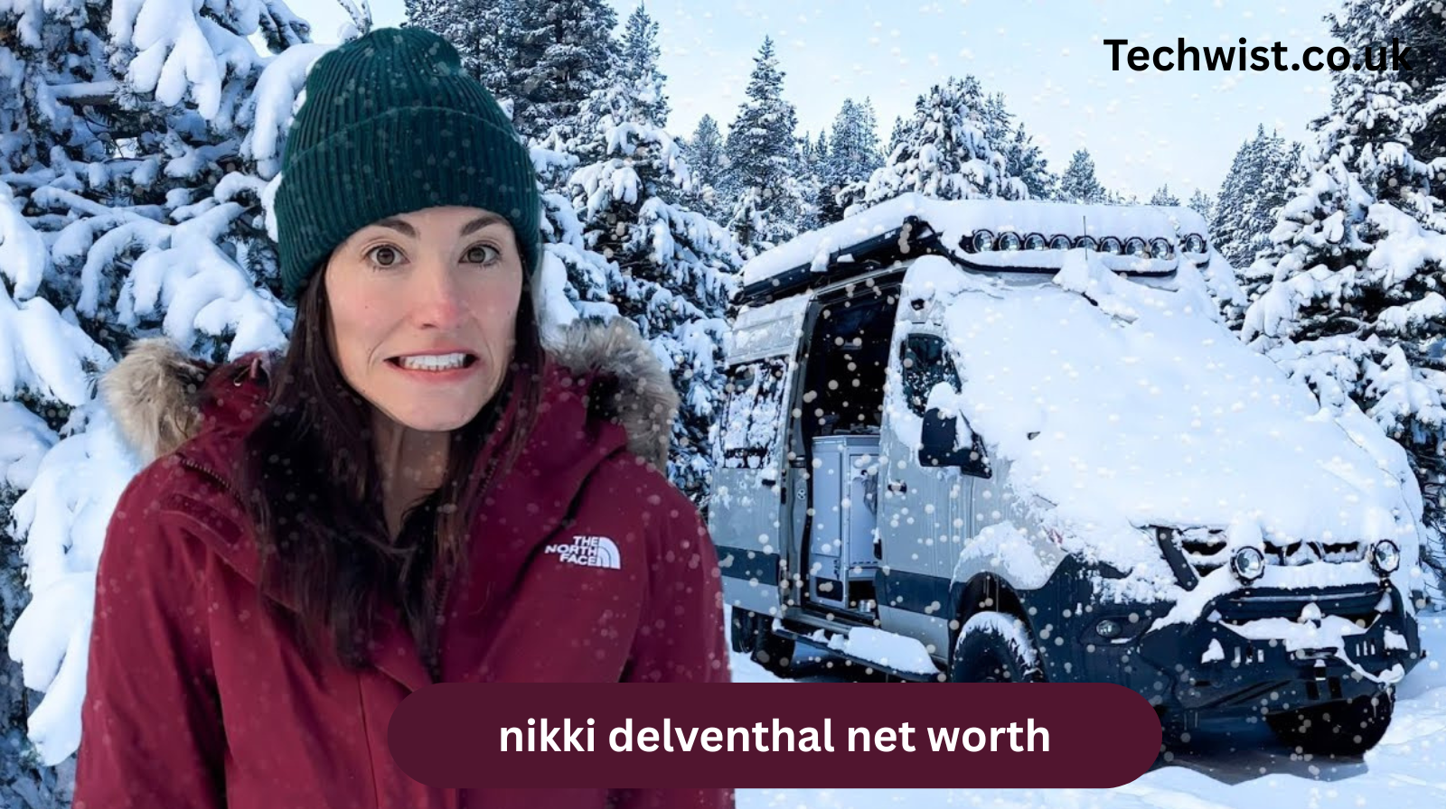 nikki delventhal net worth